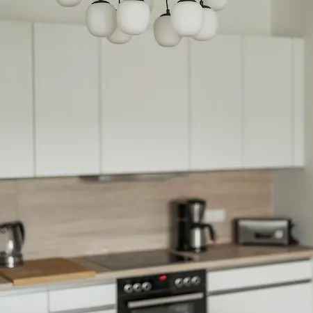 Traunseeresidenzen 公寓 格蒙登